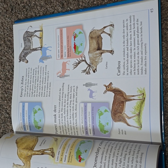 The Complete Guide to Animals - Picture 4 of 4